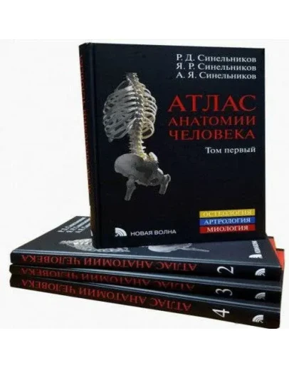 Синельников: Атлас анатомии человека. В 4-х томах