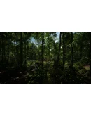 ReThink Evolved 4 АВТОДОСТАВКА STEAM GIFT РОССИЯ