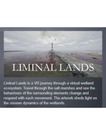 Liminal Lands АВТОДОСТАВКА STEAM GIFT РОССИЯ