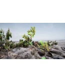 Liminal Lands АВТОДОСТАВКА STEAM GIFT РОССИЯ