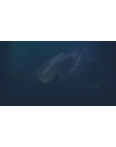 Nocturnal Steam РУ+UA+KZ+СНГ