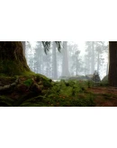 Native Hunter - STEAM GIFT РОССИЯ