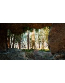 Native Hunter - STEAM GIFT РОССИЯ