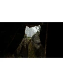 Native Hunter - STEAM GIFT РОССИЯ