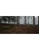 Native Hunter - STEAM GIFT РОССИЯ