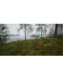 Native Hunter - STEAM GIFT РОССИЯ