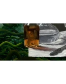 The Master's Pupil АВТОДОСТАВКА STEAM GIFT РОССИЯ