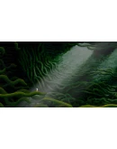 The Master's Pupil АВТОДОСТАВКА STEAM GIFT РОССИЯ