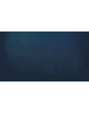 Fireball Wizard Steam РУ+UA+KZ+СНГ