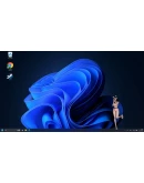 Digital MateАВТОДОСТАВКА Steam Россия