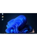 Digital MateАВТОДОСТАВКА Steam Россия