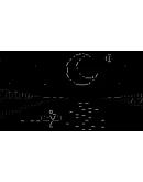 Stone Story RPG STEAMRU АВТОДОСТАВКА 0