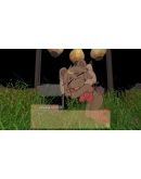 HOLEHOLE АВТОДОСТАВКА STEAM GIFT РОССИЯ