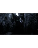 Sorrow Asylum АВТОДОСТАВКА STEAM GIFT РОССИЯ