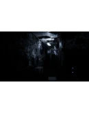 Sorrow Asylum АВТОДОСТАВКА STEAM GIFT РОССИЯ