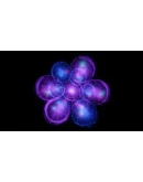 Orders of Magnitude АВТОДОСТАВКА STEAM GIFT РОССИЯ