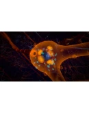 Orders of Magnitude АВТОДОСТАВКА STEAM GIFT РОССИЯ