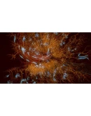 Orders of Magnitude АВТОДОСТАВКА STEAM GIFT РОССИЯ