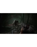 Scorn (Steam) RU/CIS