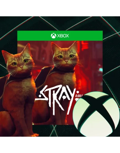 STRAY Xbox One &amp Series XS + PC КЛЮЧ