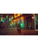 STRAY Xbox One &amp Series XS + PC КЛЮЧ