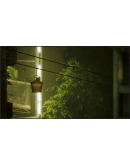 Stray XBOX ONE SERIES XS PC WIN 10 Ключ Stray XBOX ONE SERIES XS PC WIN 10 Ключ