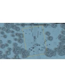 Canvas of Kings АВТОДОСТАВКА STEAM РОССИЯ