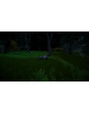 Coonwood АВТОДОСТАВКА STEAM GIFT РОССИЯ