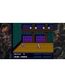 DOUBLE DRAGON THE SACRED STONES XBOX ONEX/SKEY