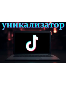 Уникализатор видео для TikTok, Reels и прочих