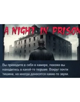 A Night in Prison STEAM KEY GLOBAL +РОССИЯ