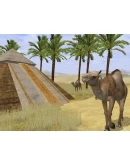 Wildlife Park 2 АВТОДОСТАВКА STEAM РОССИЯ