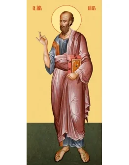 Павел, ап_008-1(76х167см)