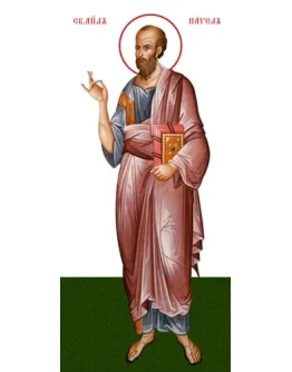 Павел, ап_008-1(76х167см)слои