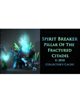Pillar of the Fractured CitadelCollector's Cache 2018