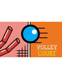 Volley Court Steam РУ+UA+KZ+СНГ