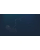 Magnus Positive Phototaxis Steam РУ+UA+KZ+СНГ