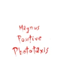 Magnus Positive Phototaxis Steam РУ+UA+KZ+СНГ