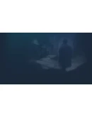 Vaudeville Steam РУ+UA+KZ+СНГ