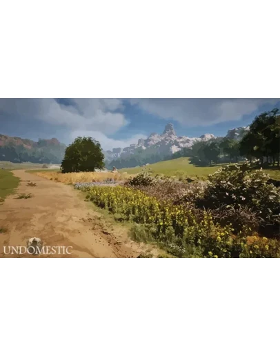 Undomestic Steam РУ+UA+KZ+СНГ