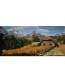 Undomestic Steam РУ+UA+KZ+СНГ