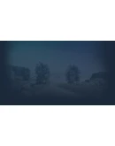 Undomestic Steam РУ+UA+KZ+СНГ