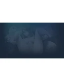 SWEET FEETS Steam РУ+UA+KZ+СНГ