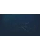 Stay Home Steam РУ+UA+KZ+СНГ