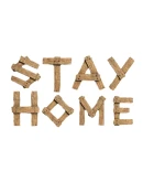 Stay Home Steam РУ+UA+KZ+СНГ