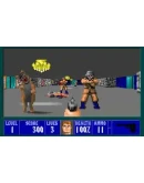 Wolfenstein 3D(PC WIN)КЛЮЧ