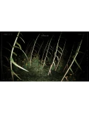 THE LORD OF THE NIGHT: Pombero Reborn STEAM GIFT RUS