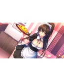 NinNinDays АВТОДОСТАВКА STEAM GIFT РОССИЯ