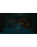 Catch &amp Release АВТОДОСТАВКА STEAM GIFT РОССИЯ