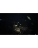 Shadow of Ether АВТОДОСТАВКА STEAM GIFT РОССИЯ